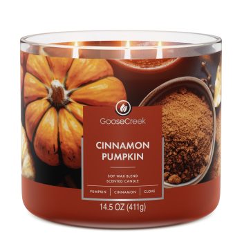 Cinnamon Pumpkin 3-Wick Candle