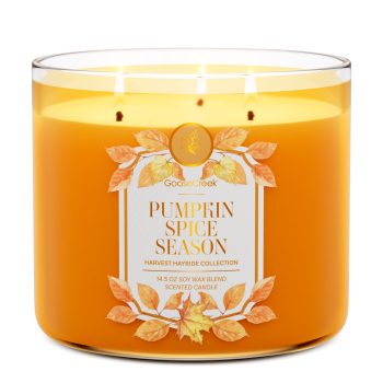 Pumpkin Spice Season 3-Wick Candle