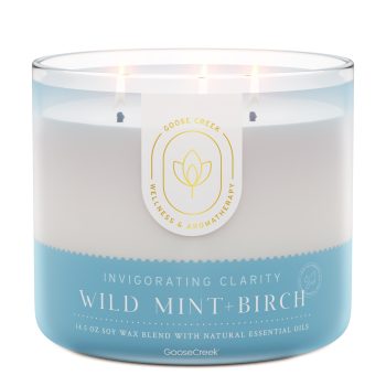 Wild Mint & Birch Aromatherapy 3-Wick Candle