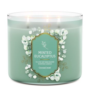 Minted Eucalyptus 3-Wick Candle