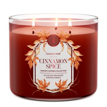 Cinnamon Spice 3-Wick Candle