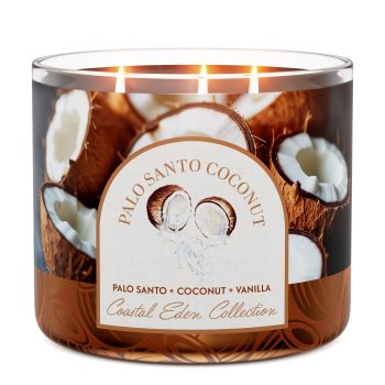 Palo Santo Coconut 3-Wick Candle